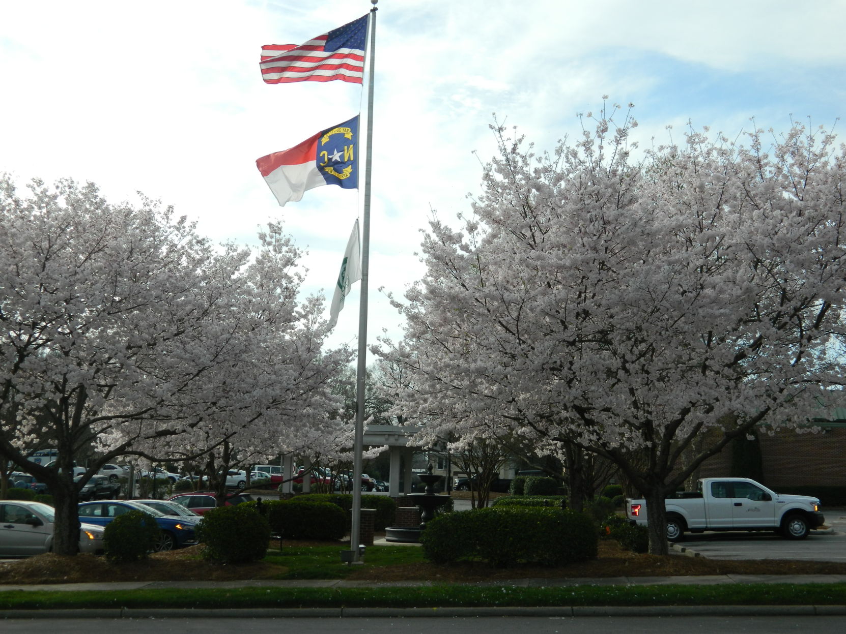 Spring photos (12).JPG